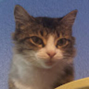 Meet your Posher, Alessandra